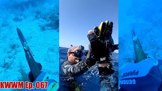 Narrating My Client’s Dives - Black Grouper Limit