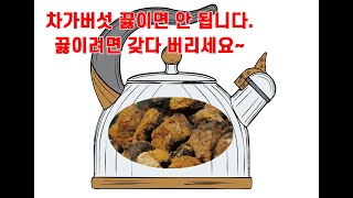 차가버섯 끓이는 법