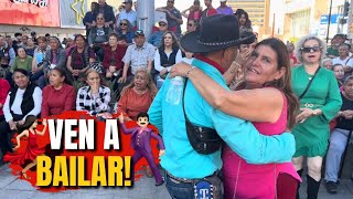 Ven a bailar! aquí siempre hay bailadores disponibles!💃🕺 Chihuahua ❤️