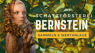 Die Schatzförsterei: Bernstein