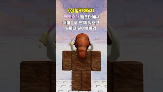 잼못타에 야생의 메머드가 나타났다.