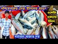 পশ্চিমবঙ্গের সবচেয়ে বড় ইলিশের বাজার|ডায়মন্ড নগেন্দ্রবাজারে ইলিশ মাছের দামকত?Diamond harbour ilish