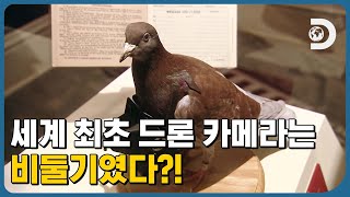 제1차 세계대전에서 🕊비둘기에 카메라를 달아 적을 감시했다?! [박물관 미스터리]