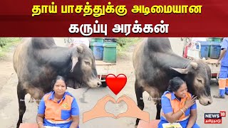 தாய் பாசத்துக்கு அடிமையான கருப்பு அரக்கன் | Tiruvottiyur | Bull