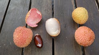 Lychee (Litchi sinensis) from Madagascar