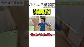 腸腰筋を筋トレするとこんな効果を期待できます！#shorts