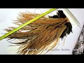 rooster saddle hackle feathers tutorial