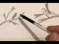 watercolour two for joy two magpies 🏴󠁧󠁢󠁳󠁣󠁴󠁿😎👍time lapse video