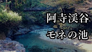 晩秋の阿寺渓谷(長野県)とモネの池(岐阜県) Atera Keikoku Gorge, Monet's Pond