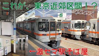 【オレンジだらけ】JR東日本管内に直通する313系中央西線運用に乗ってきた  2020秋の西日本③