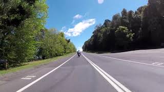 Kickstart Motorcycle Tours - Bellingen to Dorrigo