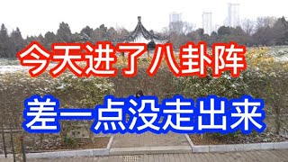 南阳市卧龙岗武侯祠里面的八卦阵，普通人进去想出来，门儿都没有