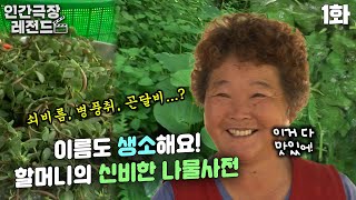 [인간극장 레전드 #90-1] 이름도 생소해요!😮 할머니의 신비한 나물사전🌿📖 | 웰컴 투 비수구미 (1/5) [KBS 130708 방송]