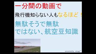 【一分間の航空豆知識】Part1.滑走路の番号の意味とは？(不定期ですがやっていこうと思います)