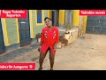 kungulu kwangala official video by kasheshe parody by  kangaroo Tv  Valentine