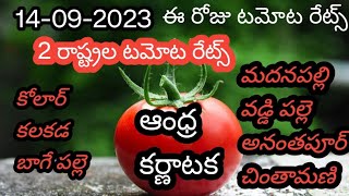 14/09/2023 | వేలం పాట పూర్తి అయ్యినా తర్వాత అన్ని మార్కెట్ల టమోట రేట్స్ |ఆదర్శ రైతు