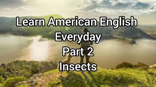 Learning and Listening American English Everyday lesson 2 Insect