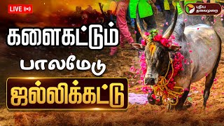 🔴LIVE: Palamedu Jallikattu live | களைகட்டும் பாலமேடு ஜல்லிக்கட்டு | Palamedu Jallikattu 2025 | PTD