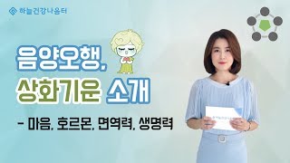 음양오행, 상화기운 소개 (相火) [하늘건강나음터]