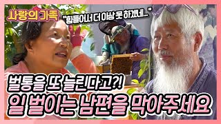 벌통을 1000개 까지 늘린다고?! 양봉에 과수원에 축사 일에 지금도 할 일이 태산인데!! 일 벌이는 남편과 속 터지는 아내 [사랑의 가족] KBS 240615 방송