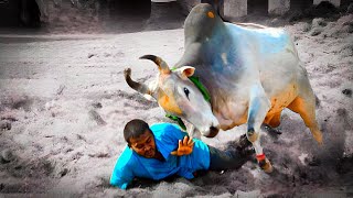 2023 இலுப்பூர் ஜல்லிக்கட்டு HIGHLIGHTS Illuppur Jallikattu @ILoveJallikattu360