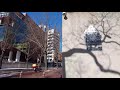 4k seoul deoksugung stonewall walkway walking tour 서울 덕수궁 돌담길 도보여행