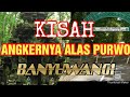 KISAH MISTERI MASUK ALAS PURWO BANYUWANGI HUTAN PALING ANGKER TANAH JAWA