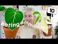 Rating Rare Philodendron In My Collection | 11 Uncommon Philodendron