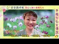 幸福七仙女傳說｜愛在心裡口要開系列