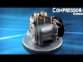 Mitsubishi Canter AC Compressor from Compressor-Express