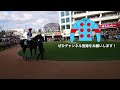 異色のスピード系ステイゴールド後継！新種牡馬インディチャンプは成功するか？