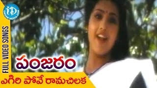 Panjaram Movie - Egiri Pove Video Song || Meena || Vinod Kumar || Kota Srinivasa Rao || Raj