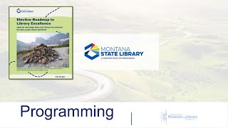 Navigating the Roadmap to Excellence: Programming in Libraries