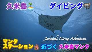 久米島🏝ダイビング🤿マンタステーション🪸近づく久米島マンタ🤩👍2024年11月