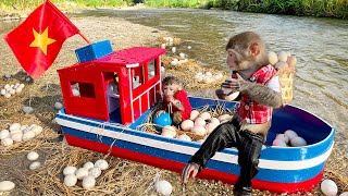 Baby monkey Bim Bim and Obi goes boat to collect duck eggs to help dad