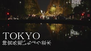 ＜４K＞TOKYO　神宮外苑いちょう並木　2022