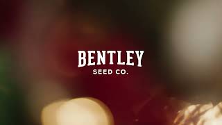 Bentley Seed Co. 2022 Holiday Seed Packets