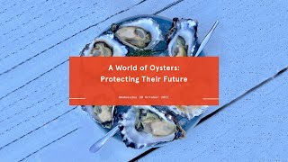 A World of Oysters: Protecting Their Future