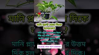 🌿 বাস্তু শাস্ত্র মতে মানি প্ল্যান্ট কোথায় রাখবেন? | Money Plant Vastu Tips 🌟