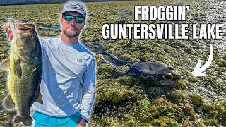 What You Need To Know About Fishing A FROG! (Lake Guntersville)