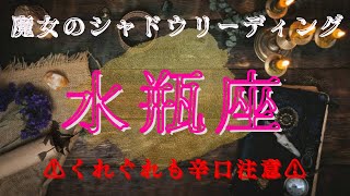 水瓶座12月〜1月【シャドウ】何をしないといけないのかはわかっているはず‼️魔女のシャドウリーディング🌗