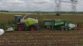 Claas Jaguar 830 with PTO and  AGRONIC MultiBaler 1220 | Saxeni Agric | Knoll B.V.