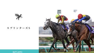 【スプリンターズS 2024 全頭診断】秋G1初戦から好メンバー！！S評価にはなんとあの穴馬が2頭も選ばれた！？？