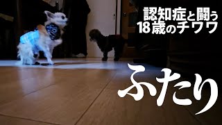 【認知症と闘う18歳】ふたり