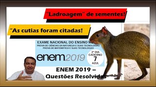 ENEM  2019 - PROVA DE BIOLOGIA RESOLVIDA