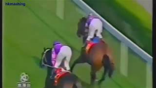 1995/96 The Stewards' Cup - Mr Vitality (活力先生) - 馬佳善 (5戰5勝)