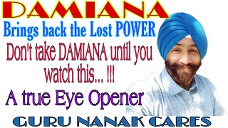 DAMIANA Q | Brings back the Lost Power | दमियाना शुरू करने से पहले यह वीडियो ज़रूर देखें