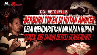 DEMI MILIARAN SAYA LAKUKAN !! BERBURU TOKEK GAIB BERUMUR 100 TAHUN BERISI GENDERUWO DI HUTAN ANGKER