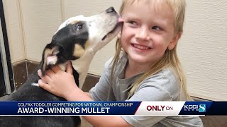 Does this Iowa boy have the nation's best mullet?