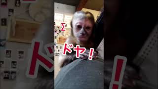 フサオさん、やめてください。←